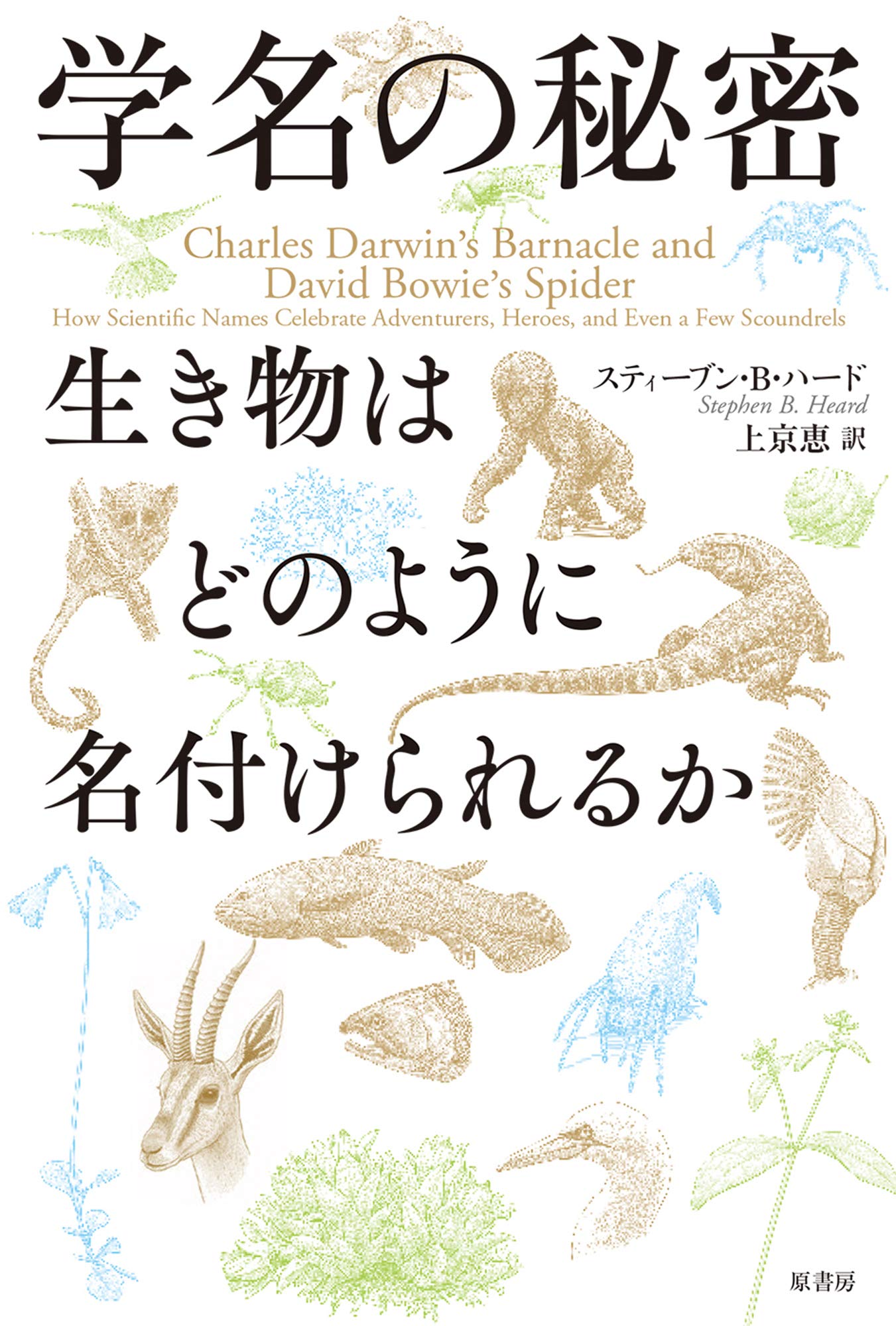 学名の秘密 生き物はどのように名付けられるか スティーヴン・B・ハード著 上京恵訳 2021/1/22 原書房