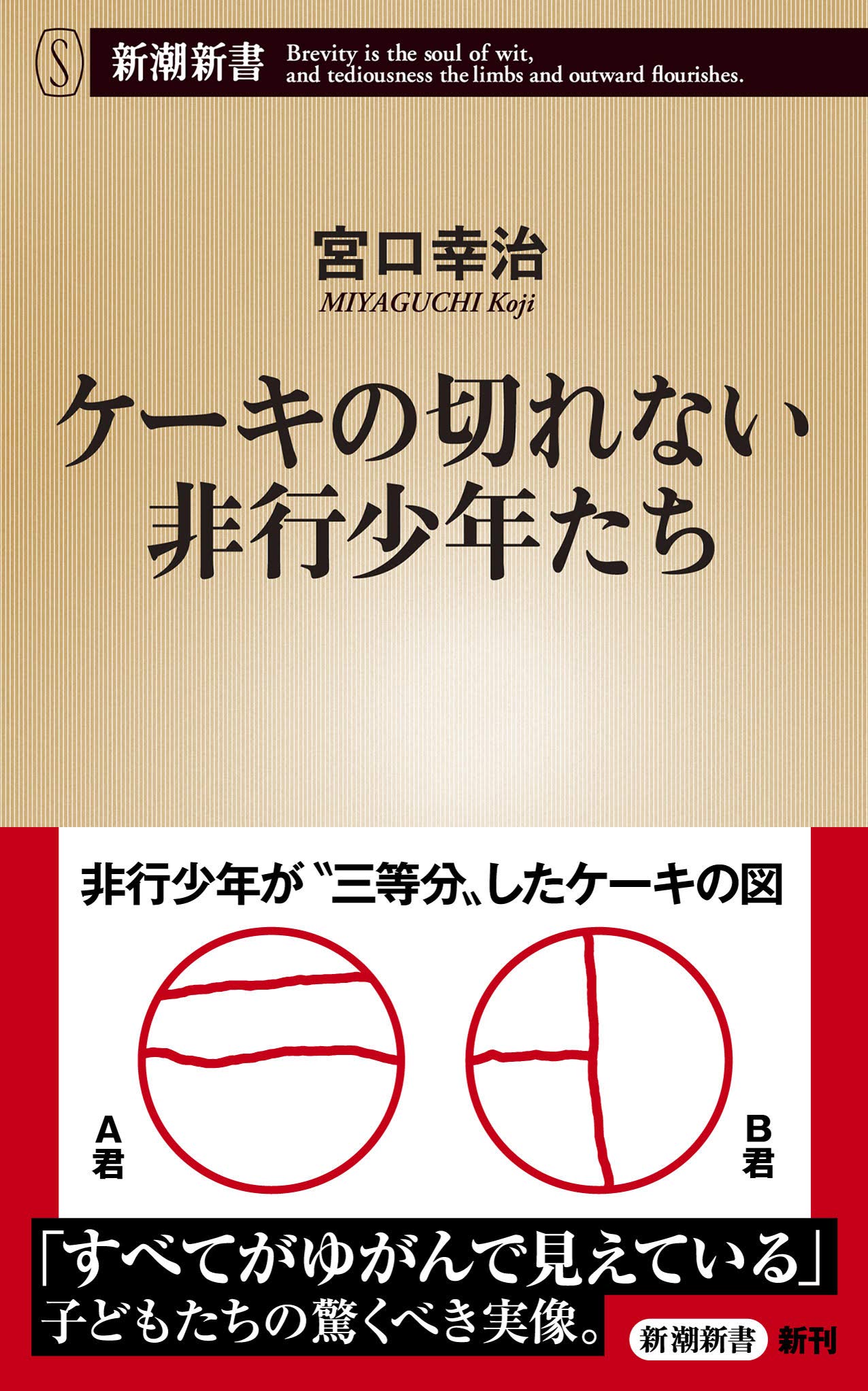 ケーキの切れない非行少年たち 宮口幸治 2019/07/20 新潮新書